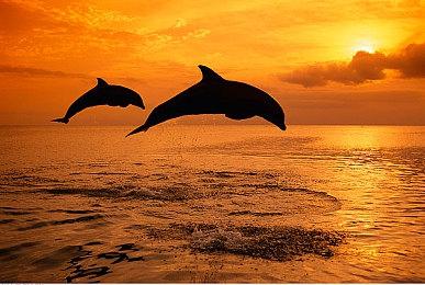 《Million Depth》steam页面上线 肉鸽探索新游